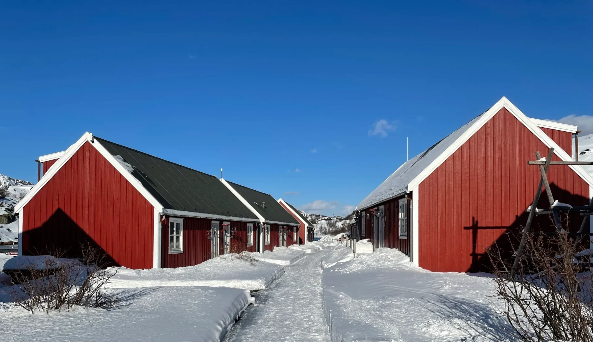 Group of skiers posing on a snowy mountain with lake and peaks behind.
