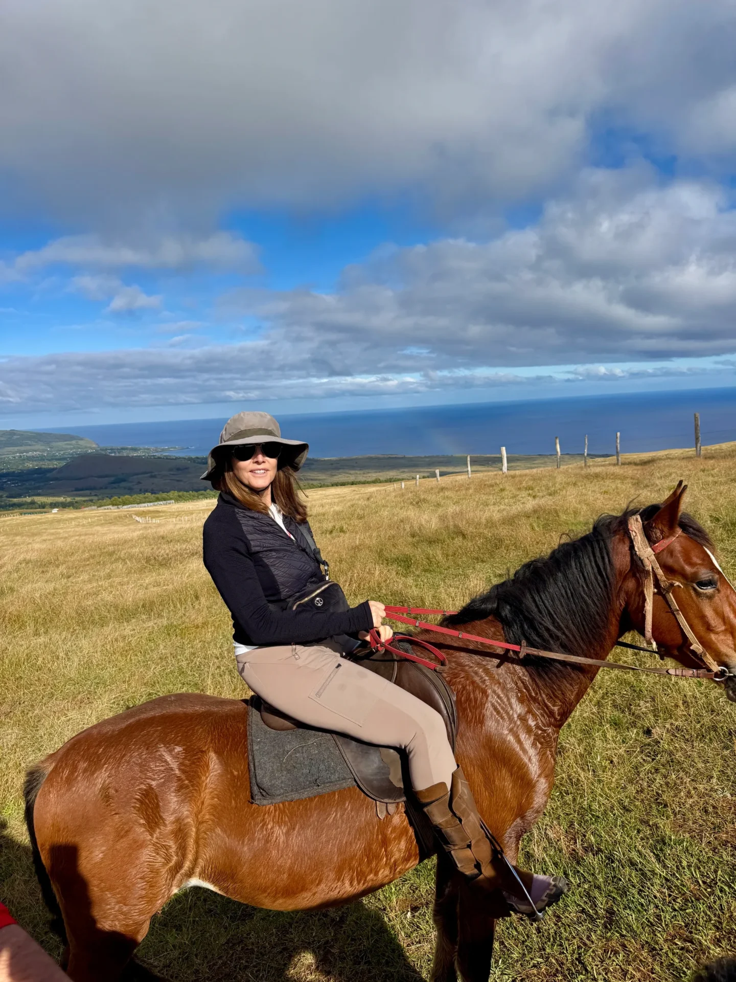 Woman riding a brown horse in a grassy field with ocean view.